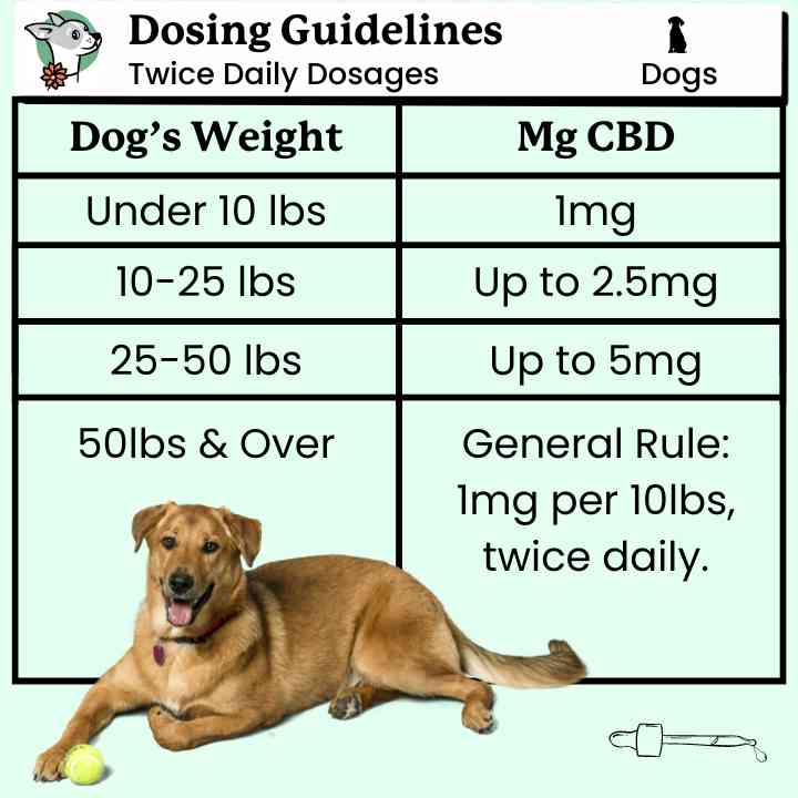Pet CBD Dosage Calculator 2026: Find the Perfect CBD Amount for Your Dog or Cat's Weight and Condition
