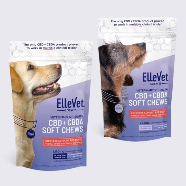 Senior Pet CBD Guide 2026: Finding the Right CBD Dosage and Products for Aging Dogs and Cats