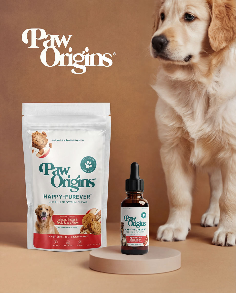 Best CBD products for senior dogs including oils, treats, and capsules arranged for pain relief and mobility support