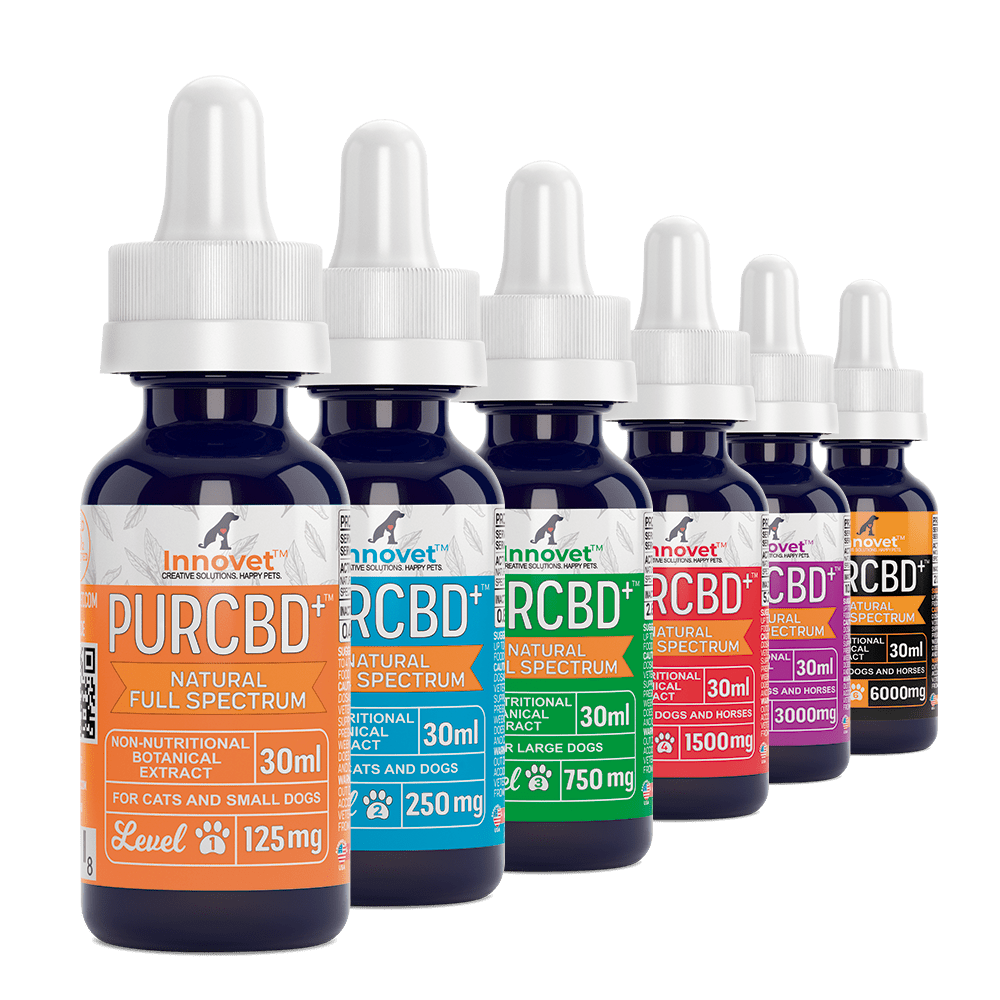 Pet CBD Finder landmark
