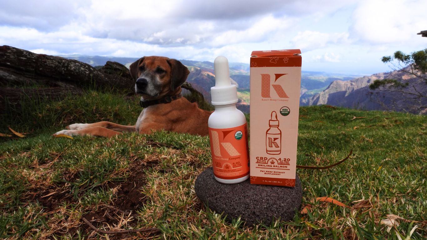 Pet CBD Finder landmark