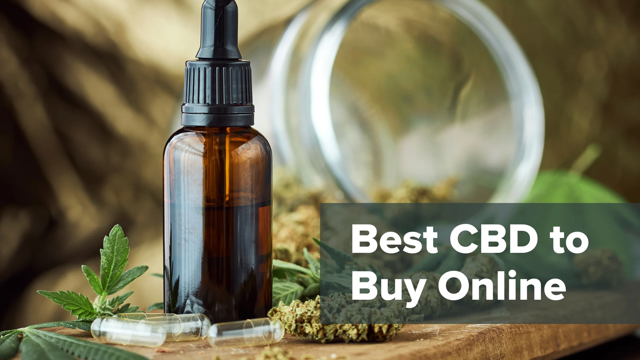 2026 guide: How to Find Trusted Pet CBD Sources & Top Local CBD Shops Near You