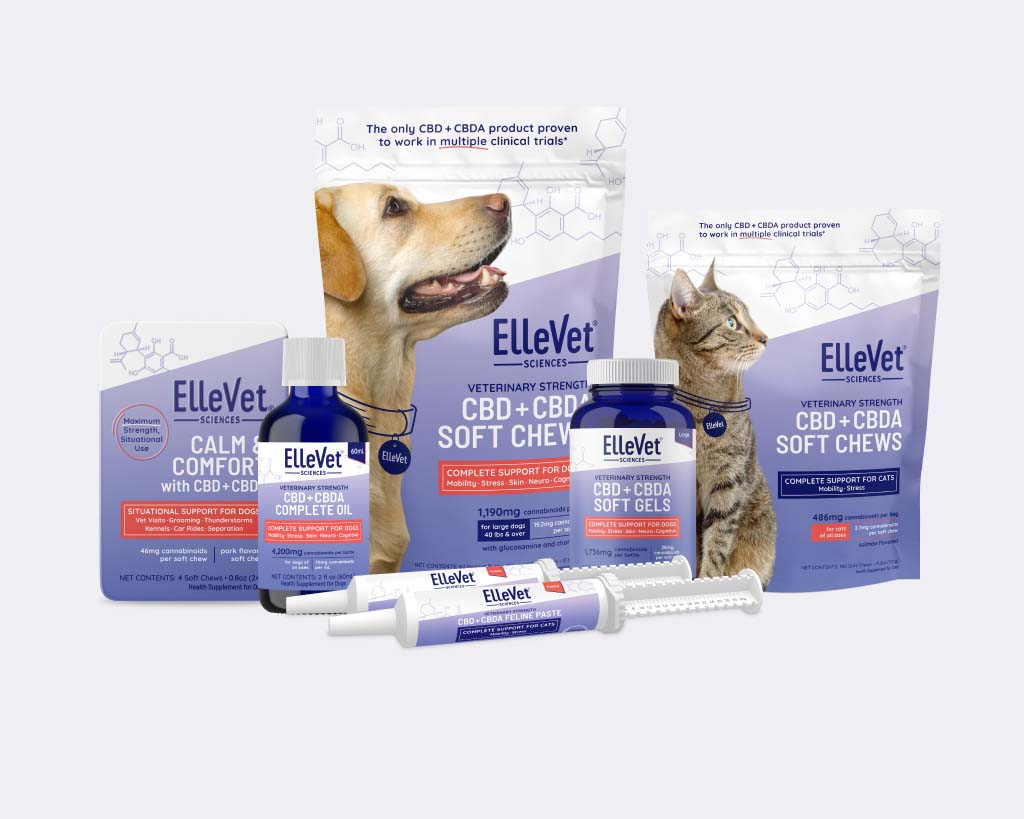 The Pet CBD Finder: Locating Safe CBD for Dogs and Cats
