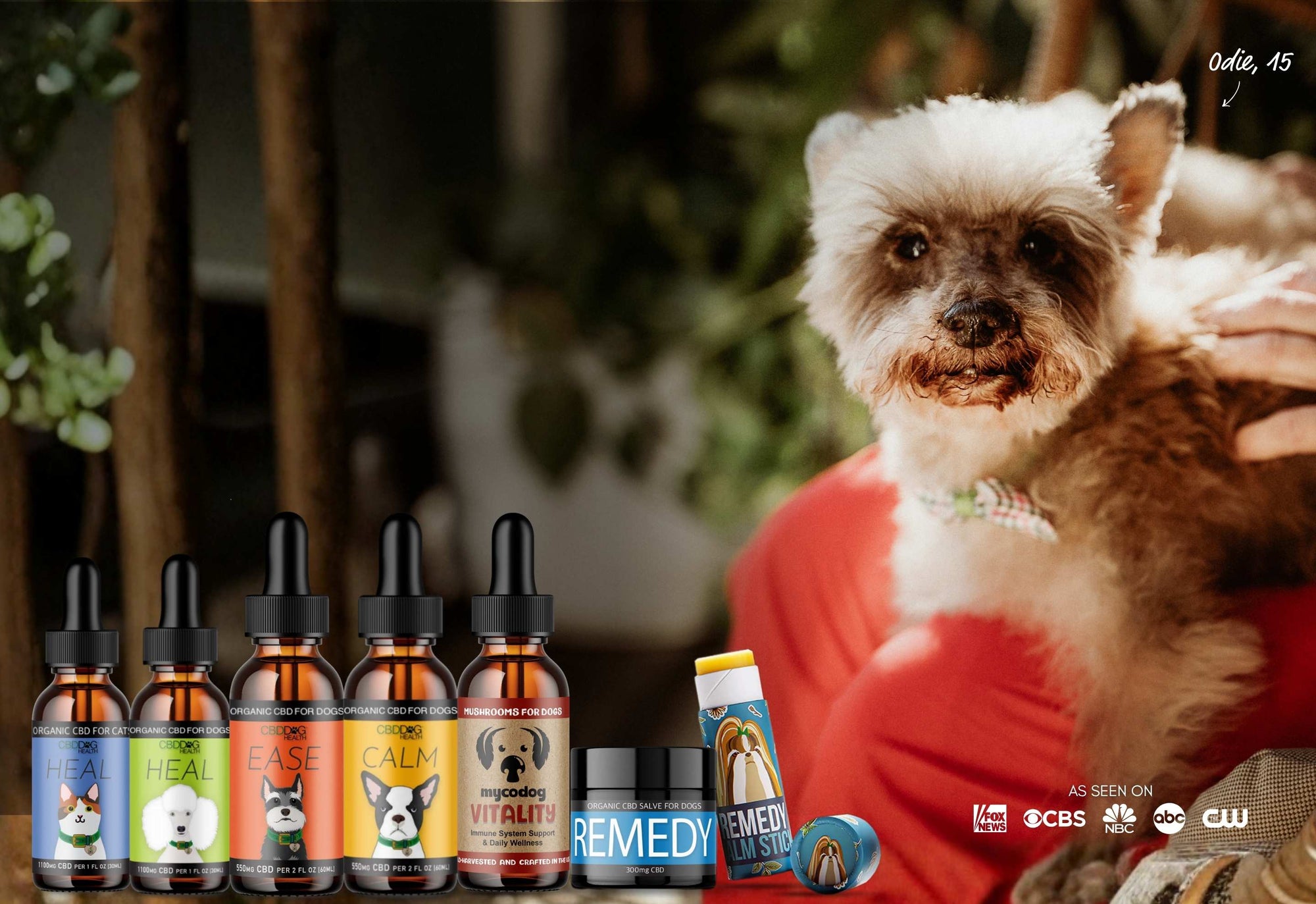Pet CBD Finder: Local Shops, Oils, and Chews for Dogs and Cats