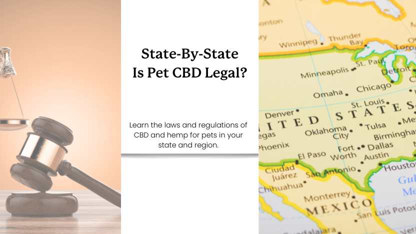 2026 Pet CBD Laws by State: Complete Guide to Legal CBD Products for Dogs and Cats