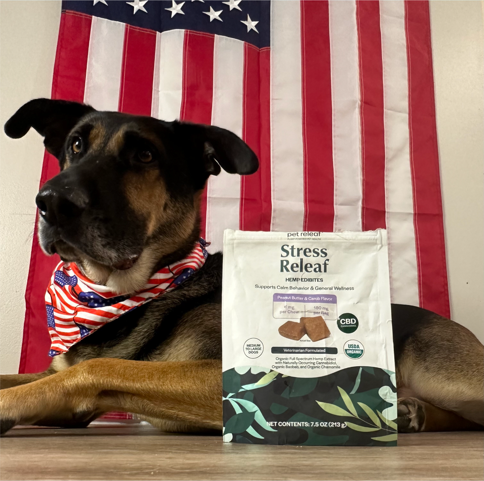Pet CBD Finder