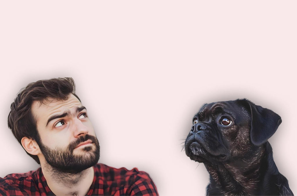 How to Use Pet CBD Finder for Local Shops