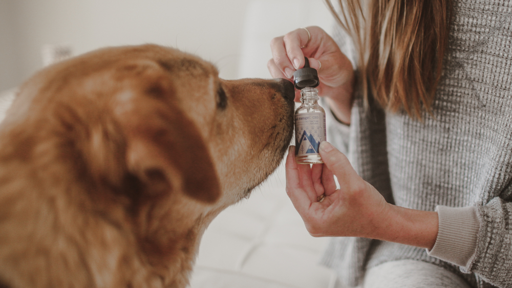 Pet CBD Finder