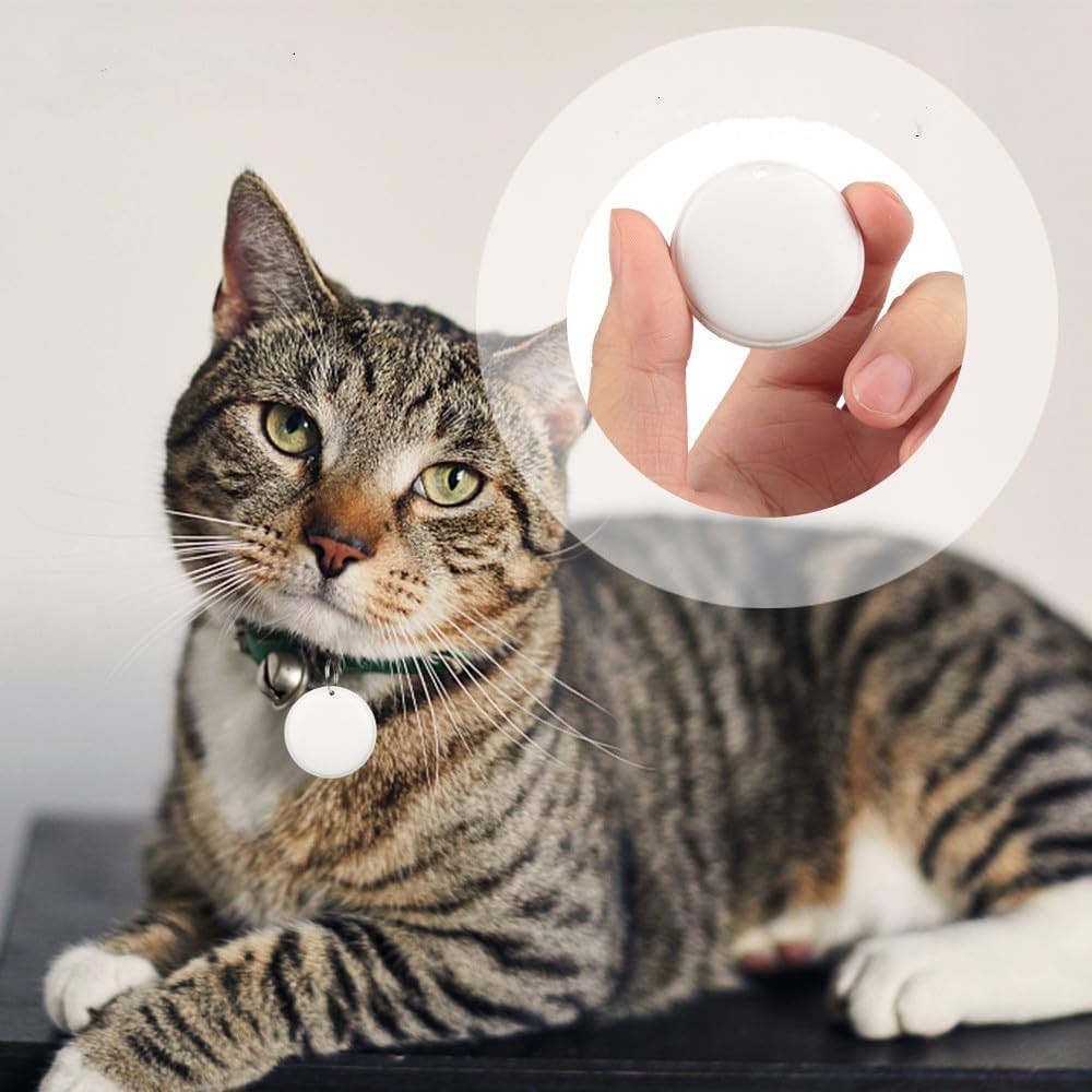 Pet CBD Finder