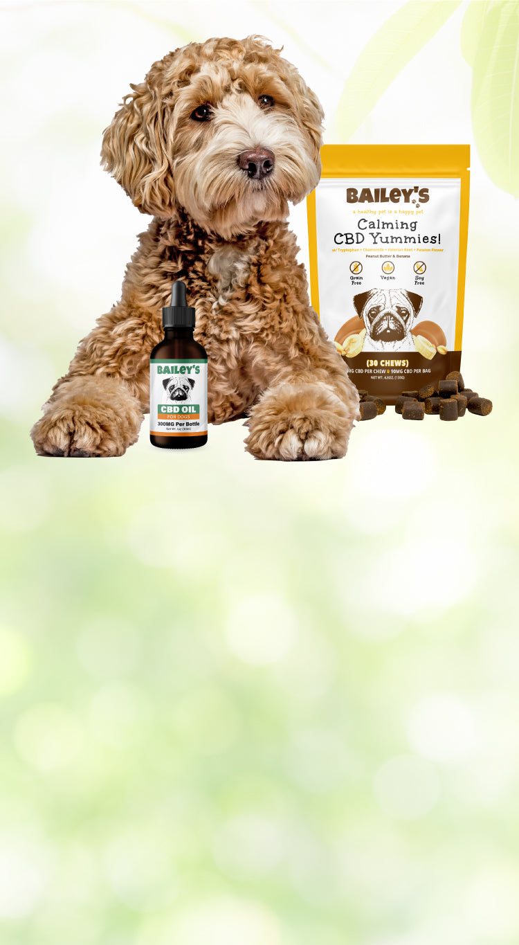 Pet CBD Finder landmark