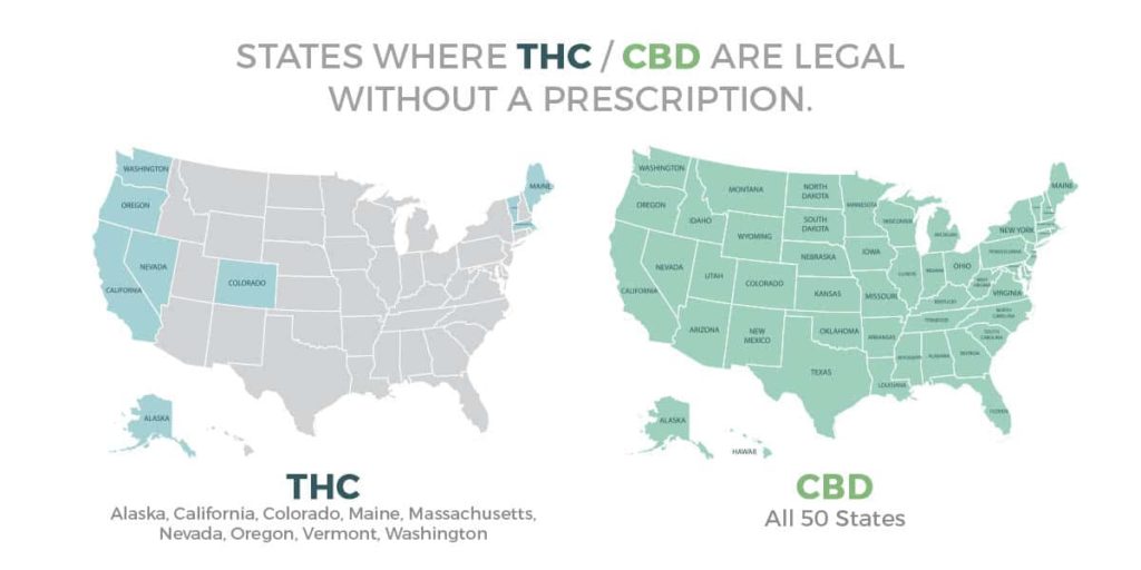 Pet CBD Finder's 2026 State-by-State Guide: Where to Buy Legal CBD for Cats