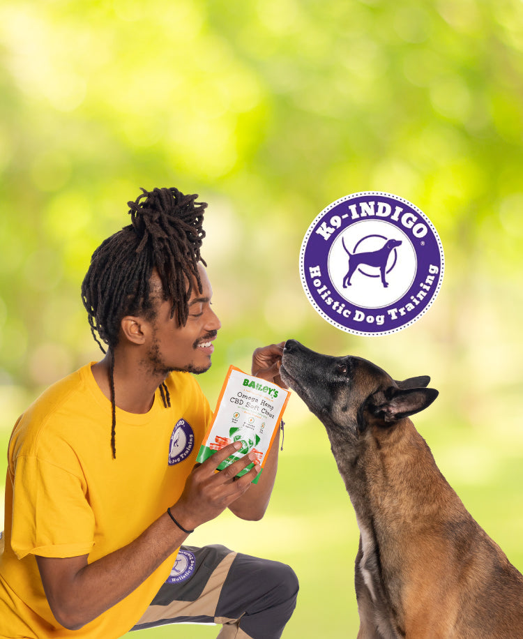 Top-Rated CBD Oil & Treats For Dogs & Cats | Bailey's CBD