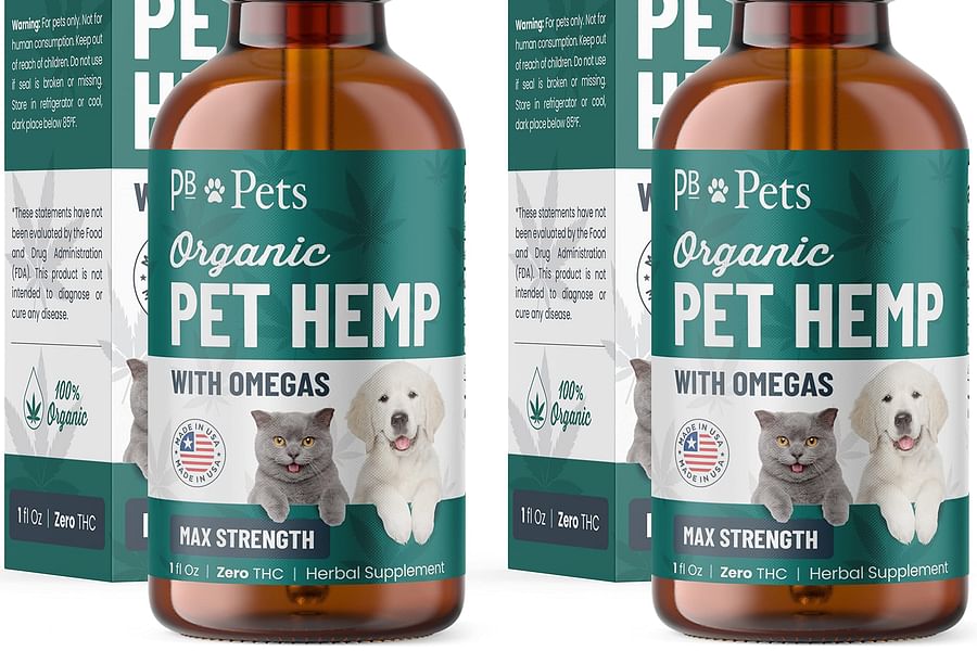 CBD for pet pain relief