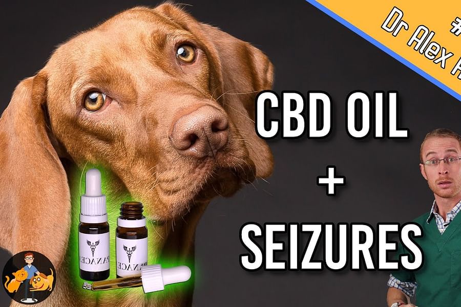 CBD for pet seizures