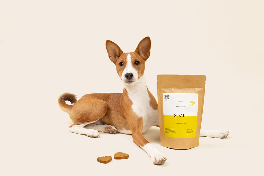 THC safe CBD pet products