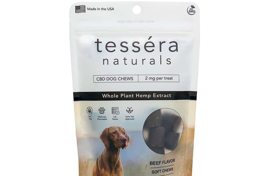 CBD chews for dogs anxiety relief