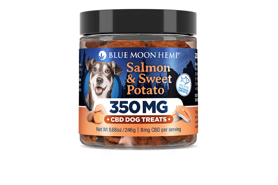 CBD chews for dogs digestive health