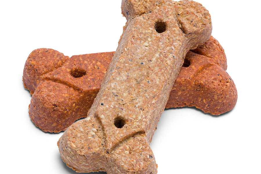 CBD chews for dogs immune support