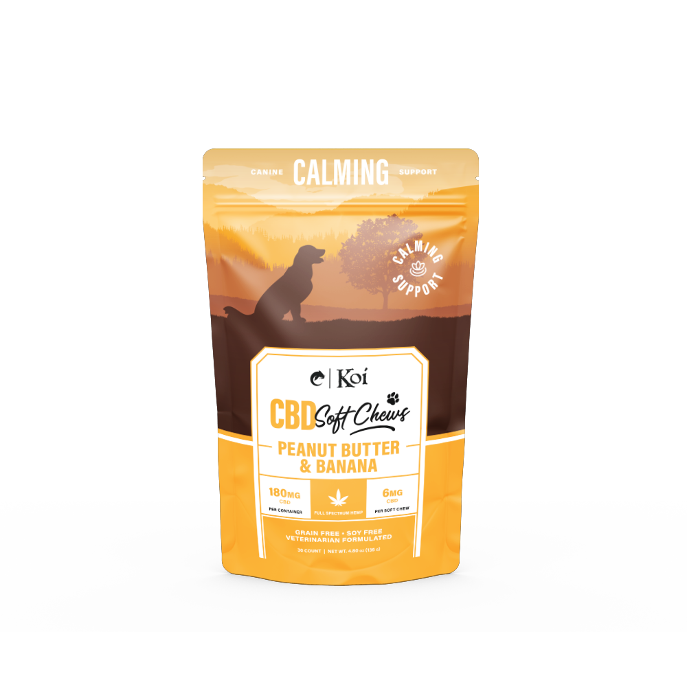 CBD chews for senior dogs