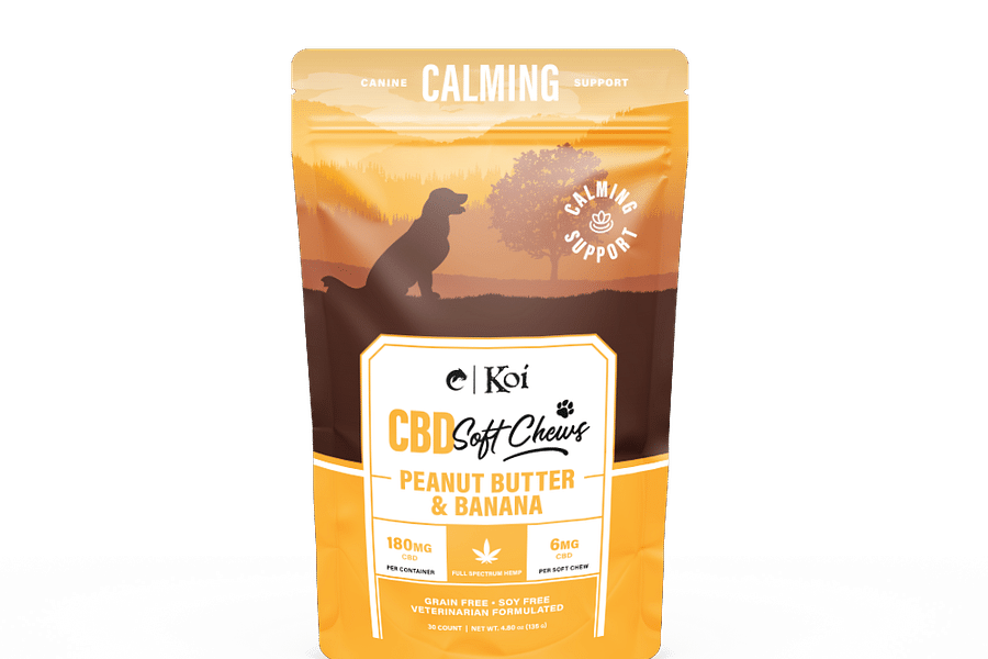 CBD chews for senior dogs