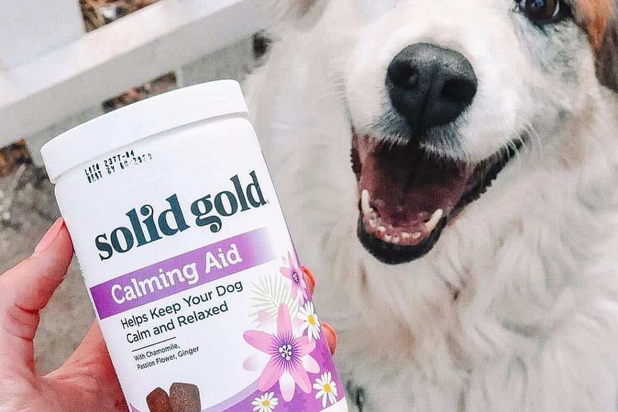 Chamomile in pet chews