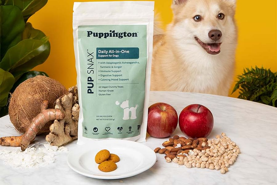 Ginger root benefits for dogs