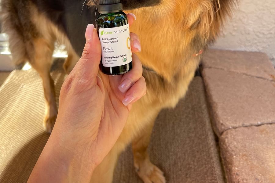 CBD-infused dog collar