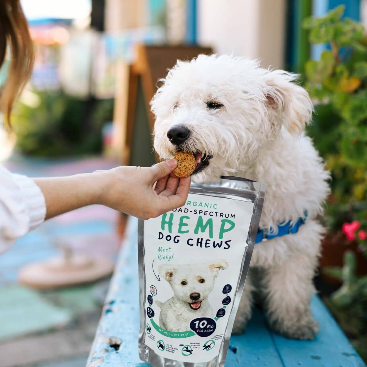 Organic Vegan CBD Pet Chews