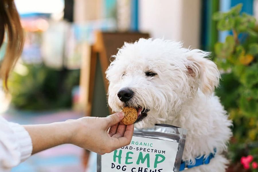 Organic Vegan CBD Pet Chews