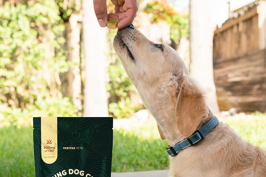 CBD infused pet bedding concentration