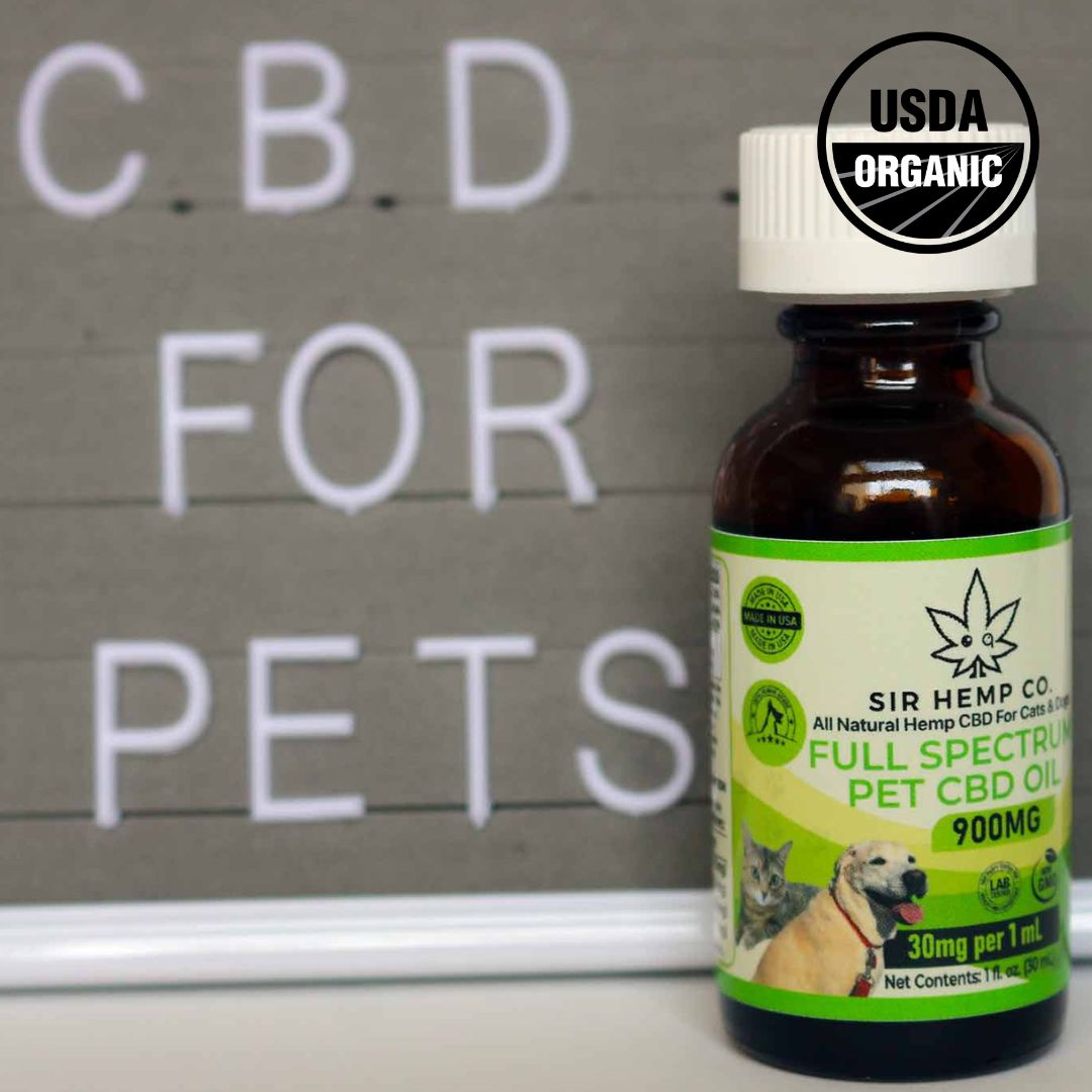 CBD oil for pets