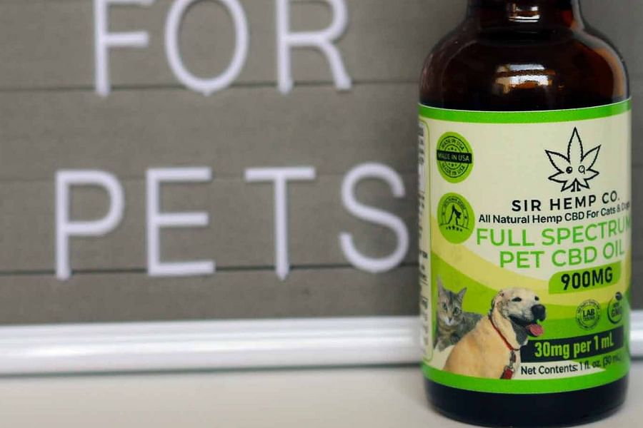 CBD oil for pets
