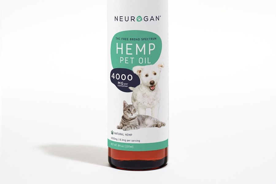 cbdMD Pet CBD Oil Tincture for Dogs