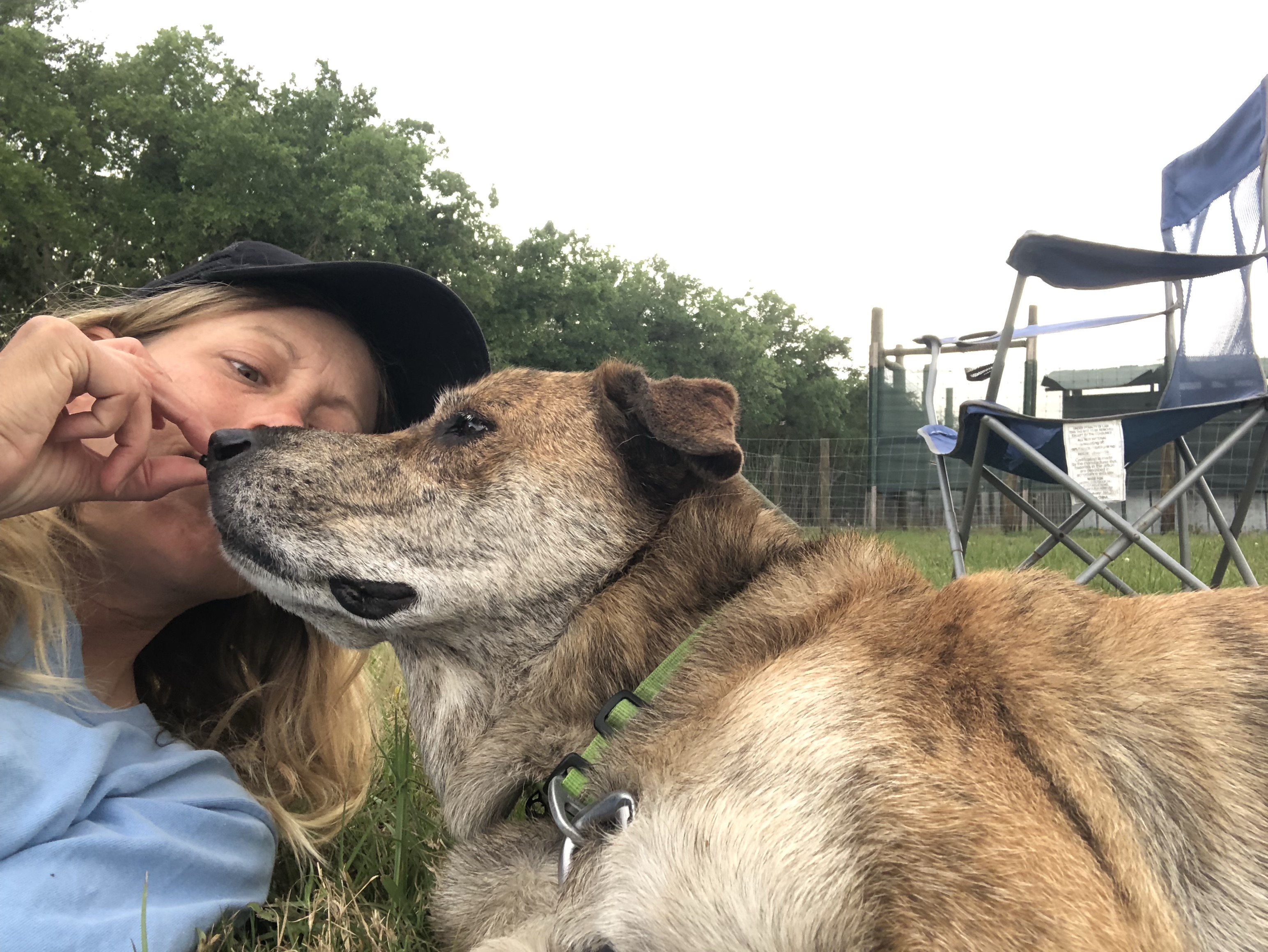 Pet Releaf Liposome Hemp Oil