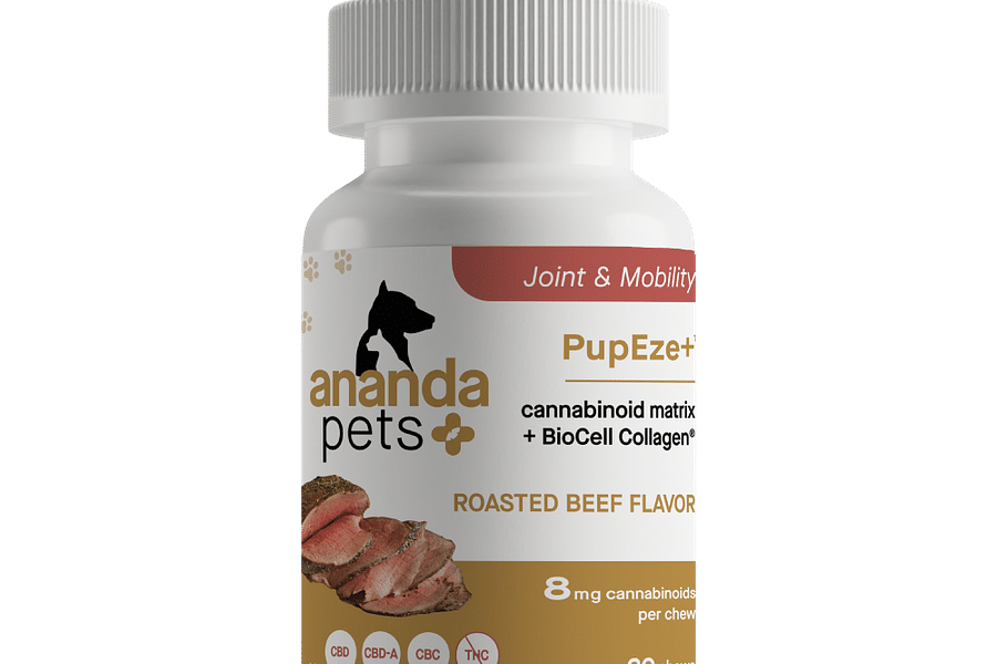 CBD soft chews for pets