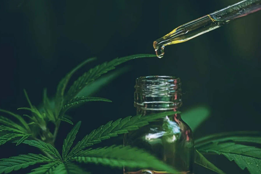 Green Paws CBD Boutique interior