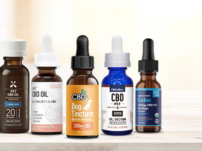 A Closer Look at the Top CBD Brands for Pets: Quality and Effectiveness