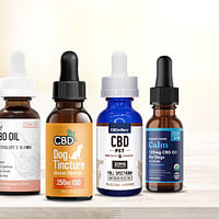 A Closer Look at the Top CBD Brands for Pets: Quality and Effectiveness