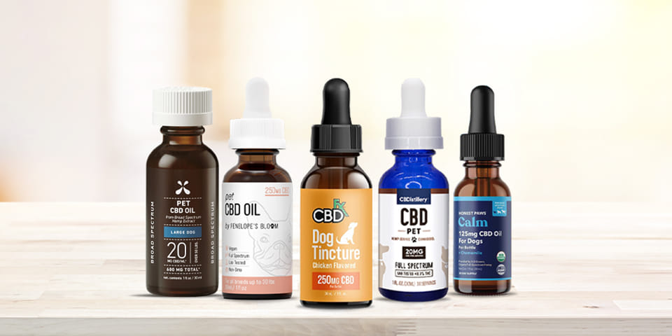 A Closer Look at the Top CBD Brands for Pets: Quality and Effectiveness
