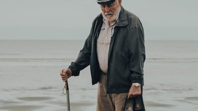 CBD for Senior Pets: Supporting Their Health and Comfort