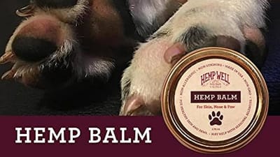 CBD Pet Balms for Pain Relief: How They Work and How to Choose the Right One