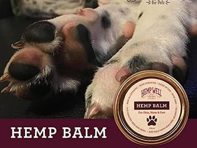CBD Pet Balms for Pain Relief: How They Work and How to Choose the Right One
