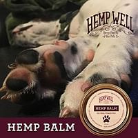 CBD Pet Balms for Pain Relief: How They Work and How to Choose the Right One