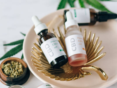 Debunking Common Myths About CBD for Pets: Separating Fact from Fiction