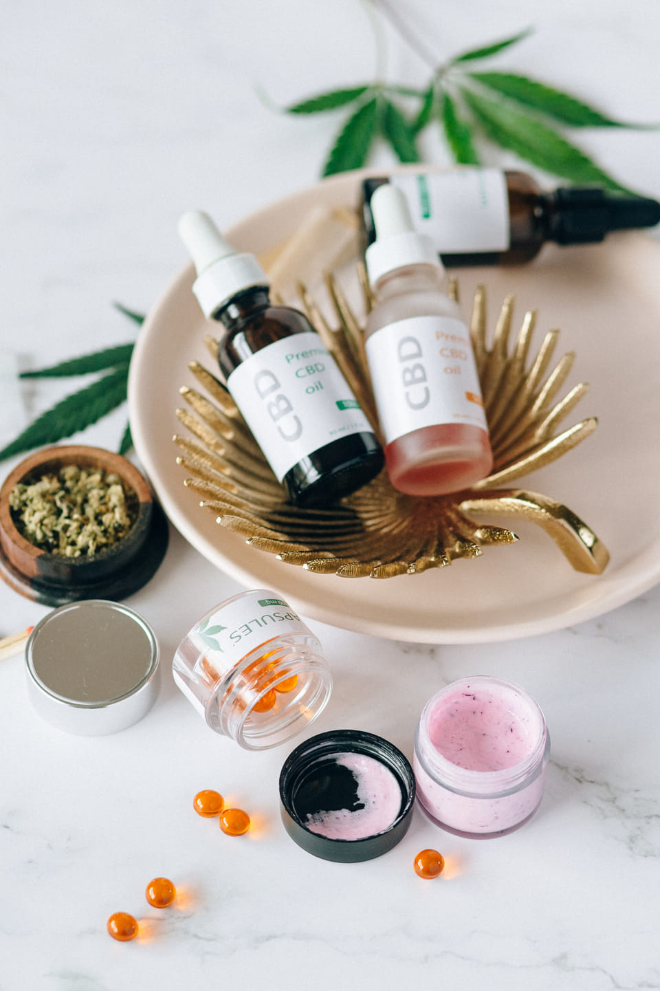 Debunking Common Myths About CBD for Pets: Separating Fact from Fiction