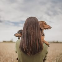 Overcoming Fears: How CBD Can Assist in Pet Anxiety Relief
