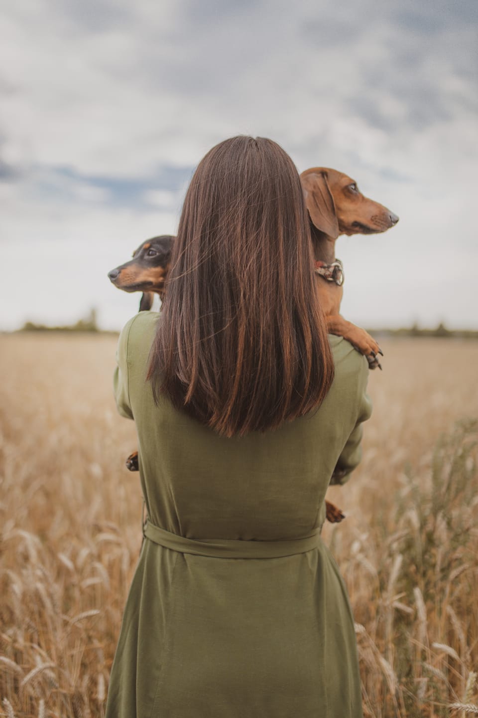 Overcoming Fears: How CBD Can Assist in Pet Anxiety Relief