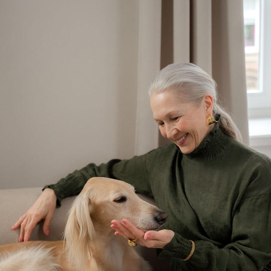 Peaceful dog enjoying a calm moment, symbolizing the soothing effects of CBD