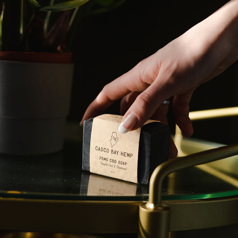 Cat sniffing a bottle of CBD oil