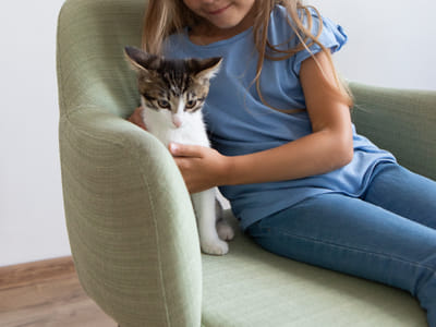 The Cat's Out of the Bag: Real Pet CBD Testimonials You Need to Hear